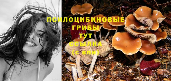 гашик Абаза